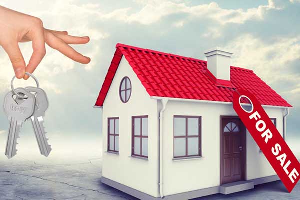 pre-sale building & property inspections